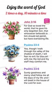 Embrace your faith journey with our Bible app designed for women 📱💖. Get inspired by daily verses, track your reading progress, and connect with a community of believers 🙏👭. Download now! ⬇️✝️ | Daily Bible Verses
