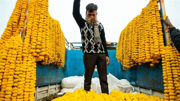 Worshippers in India give millions of tons of floral offerings yearly, and one business is turning the leftover flowers into natural dye. | Insider Tech