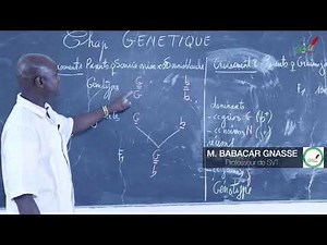 Cours - Terminale - SVT : Génétique : Suite 4