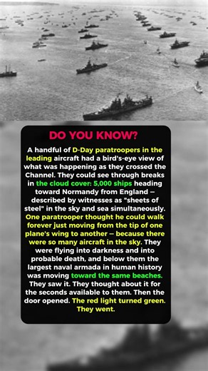 The Day the Ocean Turned Into Steel: D-Day 1944 #history