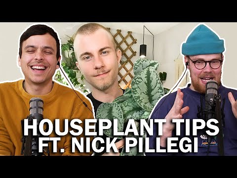 Houseplant Tips: the best advice you'll get ft. Nick Pileggi
