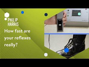GCSE Biology Practical: Measuring Human Reaction Time | Philip Harris