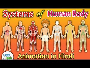 Systems of Human Body | Explained in Hindi | Insight Human