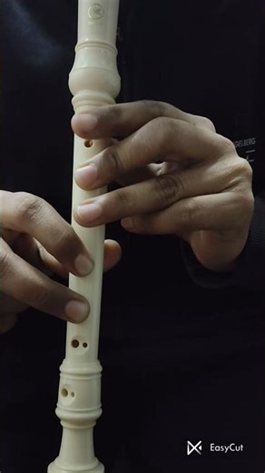 Day 1 of practicing ‘Baby Shark’ on the soprano recorder.#finewinemusic