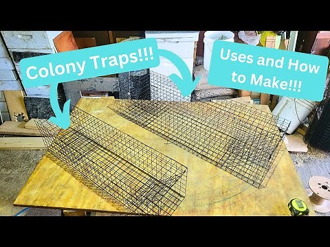 Muskrat Colony Traps - Uses and Making - In The Fur Shed