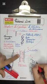 Unité 2 f svt la génétique : La structure de chromosome