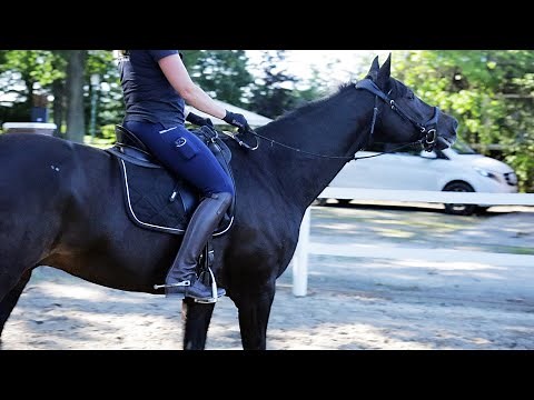 Pferd läuft mit gestreckten Hals - Reiterin hofft auf Hilfe von Ariane Telgen