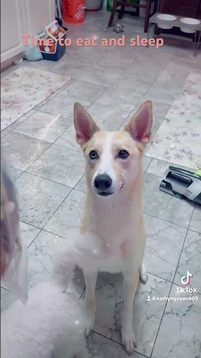 It’s time to get count 1,2,3,5……10.