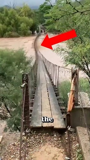 Top 5 Scariest Bridges You Wouldn’t Cross Without Crying a Little 😱😬