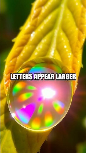 Exploring the Power of Homemade Magnifying Glasses