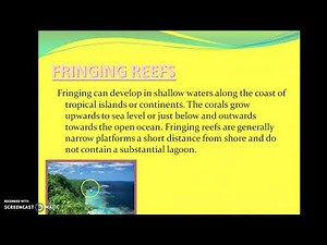 Coral Reefs: Caribbean Geo/ Def, types and importants