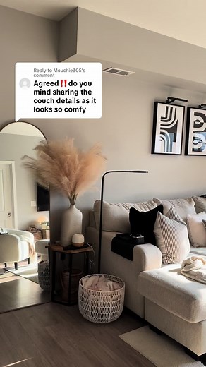 Cambri 2-Piece Sectional Couch Review and Recommendations