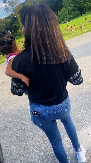 Let go feed the geese | Adrian Warren