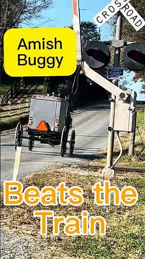 Amish Buggy Races a Train and Wins!