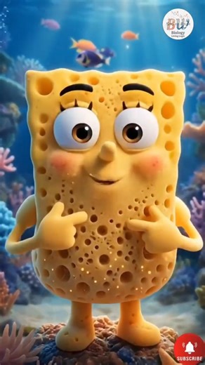 Water Canal System vs. Water Vascular System | #aivideo #biologyfacts #phylumporifera #echinodermata