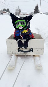 23K views · 13K reactions | Darth Meowius Fitz - 1.5 years old...