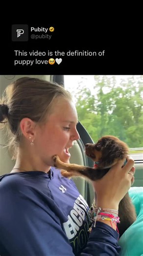 Pubity on Instagram: "🐶 During Archie’s first road trip at just 9 weeks old, his owner shared a sweet bonding moment with him. While holding the Cavapoo puppy up to her face, she playfully pretended to nibble his nose — and to her surprise, Archie started copying her with slow, gentle “bites” of his own. A heartwarming and funny moment showing how quickly little Archie picks up on his human’s affection! Jean Rodrigues via ViralHog #dogs"