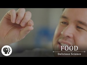 FOOD - DELICIOUS SCIENCE | The Food That Powers Half The Planet | PBS Food