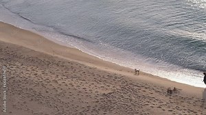 A walk at dawn along the Black Sea coast. A woman with a dog walks along the beach barefoot. Kurornoye. Odessa region. Ukraine.