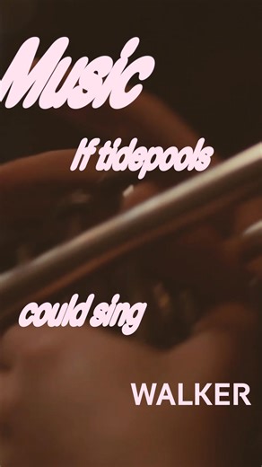 1.4K views | Raw field recordings meet live instrumentation in new music performed by chamber ensemble yMusic. Nov 8. Get tickets. | Walker Art Center | Facebook