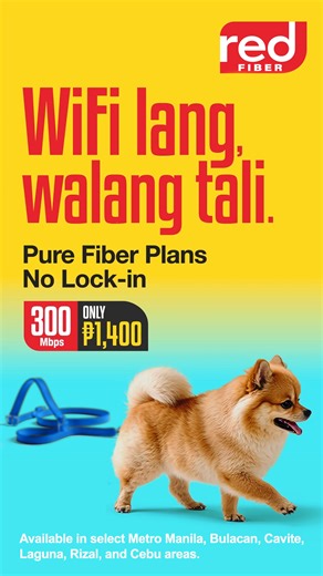 15 reactions | Pure Fiber. No Lock-in. Apply for a Red Fiber Plan 1400 and get speeds of up to 300 Mbps. WiFi lang, walang eme with Red Fiber’s Pure Fiber Plans. Apply na! Available in select Metro Manila areas. | RED Fiber | Facebook
