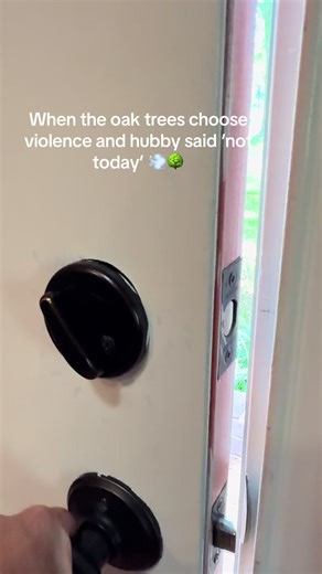 Watching my husband fight pollen like it’s a personal vendetta 😅 sir… it’s winning” #PollenFight #SouthernLiving #AllergyProblems #GeorgiaLife #SpringStruggles @Matt FrechOG