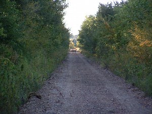 Hike, Run, Bike on 8 miles of trail Crossing the Platte River