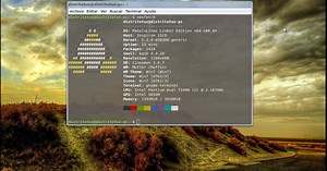Solución al error VBoxClient the VirtualBox Kernel service is not running.Exiting