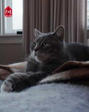 Makelaar Michiel woont aan 't Koningsplein | FANCLUB CENTRUM