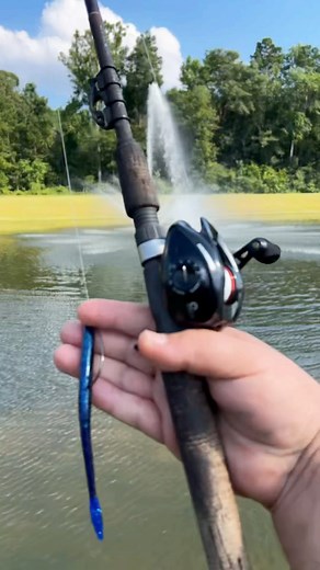 515K views · 10K reactions | Classic fish sandwich (catch clean cook) #cooking #fishing #outdoors #easyrecipe #cheapprice #seafoodlover | Wade Fishez | Facebook