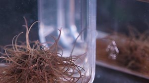 8.8K views · 164 reactions | Researchers at Georgia Tech are studying...