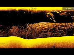 7m of prawns! Prawning in style (catch, clean, cook)