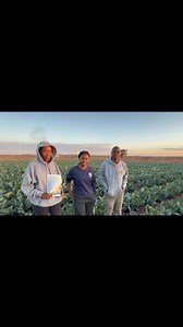 193 reactions | #cabbage#farming #FarmingExcellence#agriculture | Wendy Moshakgs | Facebook