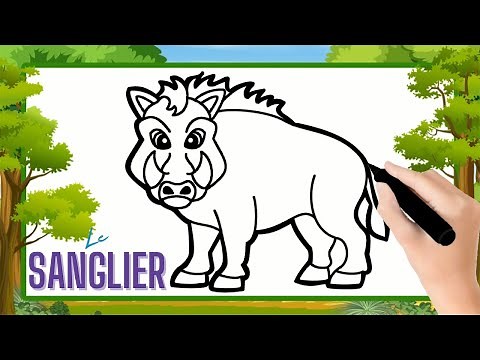Comment dessiner un sanglier facilement | Dessin sanglier facile & coloriage par étapes
