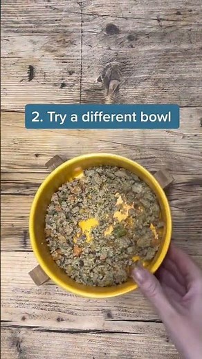 Here are 5 quick tips to help you get your fussy dog to eat 🐶