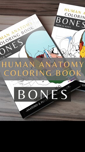 Anatomy & Physiology coloring book #anatomycoloringbook #anatomy #anatomyandphysiology #anatomia #medical #medstudent#nursingstudent#physio #skeleton