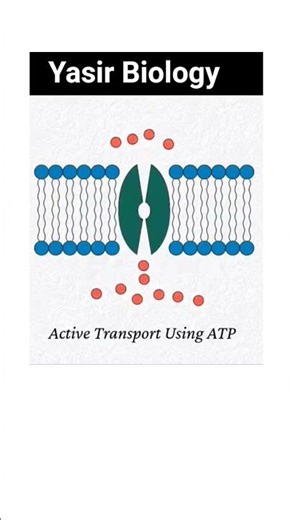 Active Transport
