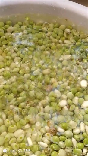 Washing corn with pigeon peas, #worshipsongrewritten