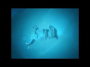 TF1/YTV/Lux Animation/TeamTo/Nelvana (2010)