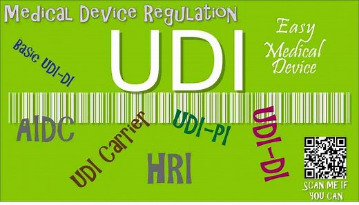 Does your ISO 13485 Quality Manual looks like that? [PDF example]