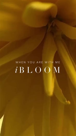 When you are with me, I bloom. 🌼 Express your feelings and sentiments with El Paso’s favorite florist, Angie’s Floral Designs. Shop at angiesfloraldesigns.com #elpasoflorist #angiesfloraldesigns #elpaso #elpasostrong #elpasotexas #flowers #floraldesign