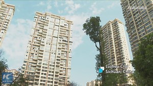 A smart and green way to sort wastes and get rewards! Check out how smart waste sorting stations work in communities in Luzhou, China | China Xinhua Sci-Tech