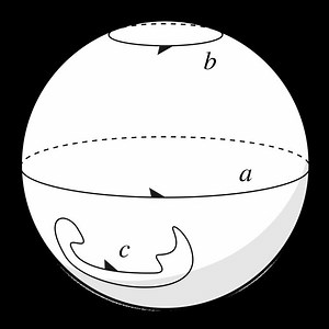 Homology (mathematics) - Alchetron, The Free Social Encyclopedia