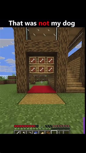 Minecraft Dog Adventure