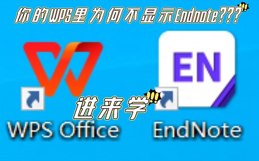 解决WPS与Endnote的关联问题