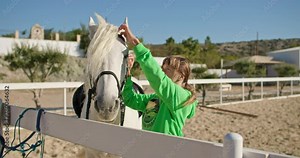 Ranch Life: Woman Tacking Up White Horse, Horse Care and Riding Preparation. High quality 4k footage