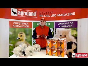 Becuri si lampi pentru incalzire - Ideale pentru cresterea puilor