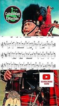🎵HIGHLAND LADDIE - Bagpipe Massed Band Tunes #ccoebt