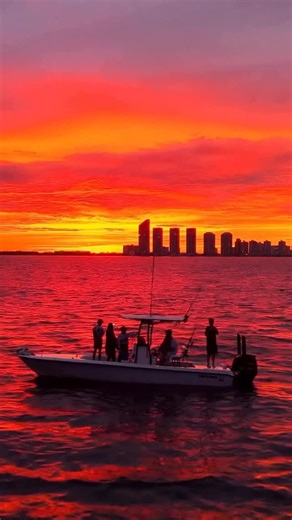 Contender Boats, Inc. on Instagram: "An unforgettable ride. @krauzayachts @ccoyachts @incredibulloutdoors #ContenderBoats #OffShore #DrivenForWhatsInTheWater"