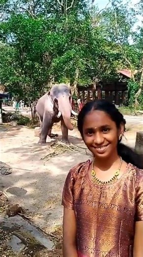 Guruvayoor Elephant dancing wih me